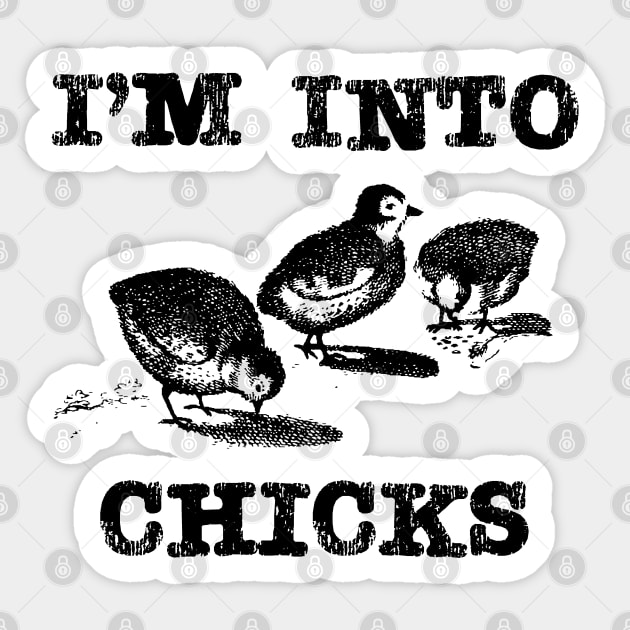 I'm Into Chicks Homestead and Backyard Chicken Pun Sticker by Huhnerdieb Apparel